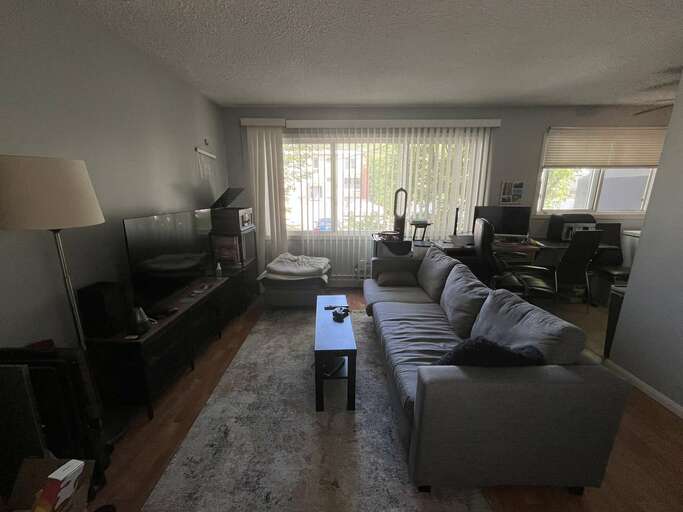 Spacious One Bedroom Suite in Golden Ash, Garneau