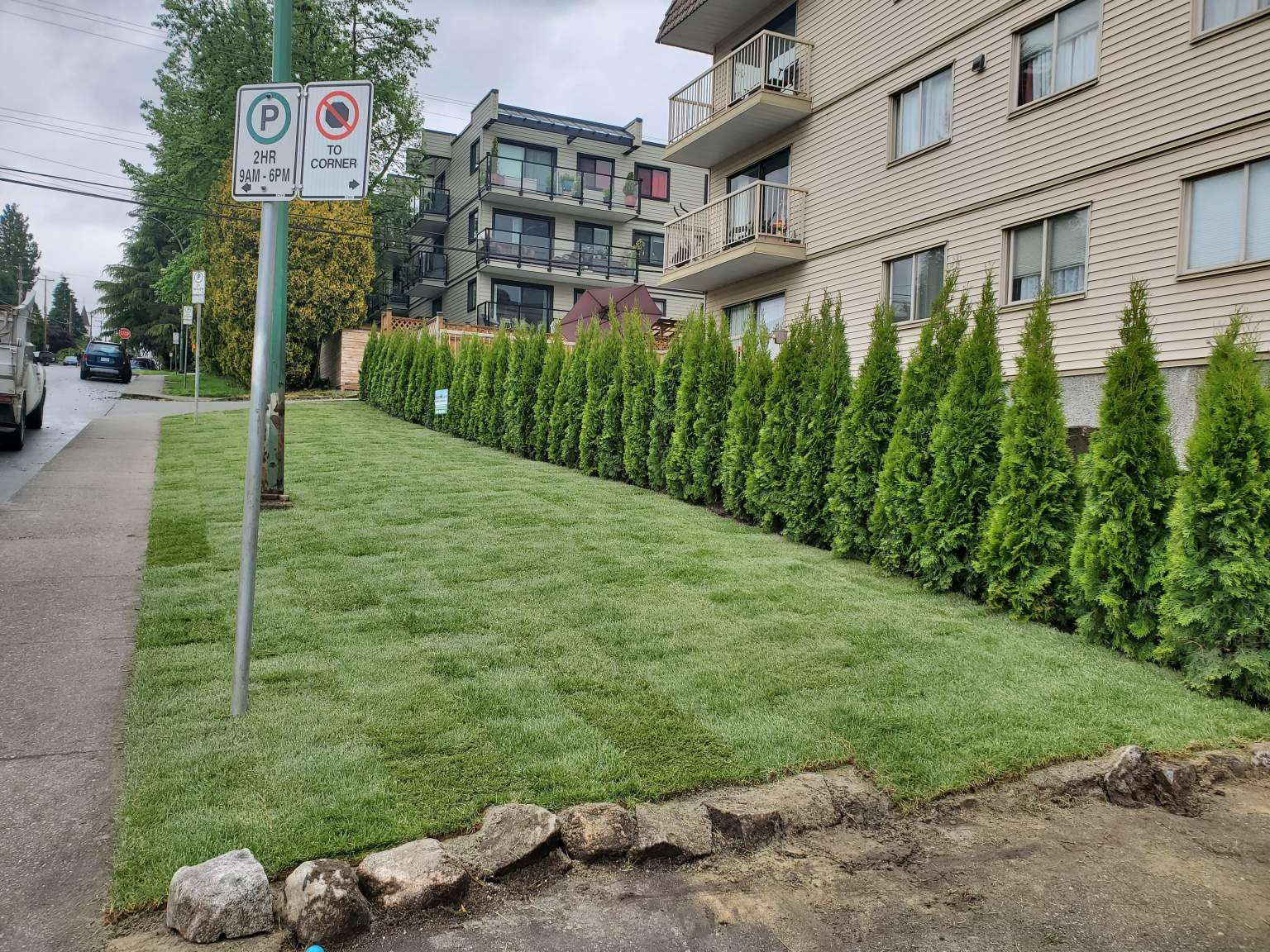 City View Apartments - Photo 27