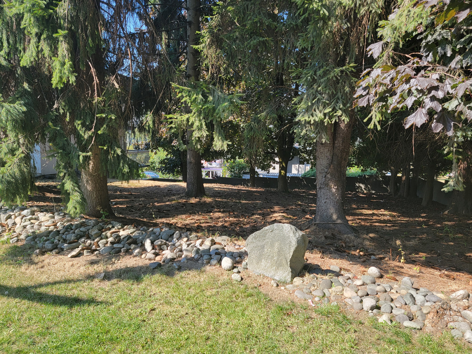 Parklane Manor Apartments - Photo 4