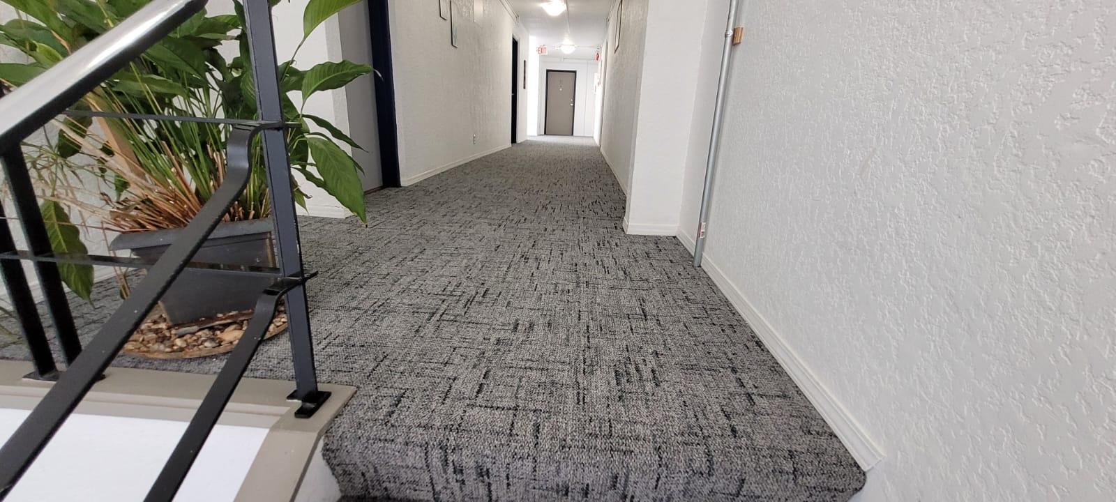Prince Charles Apartments - Photo 8