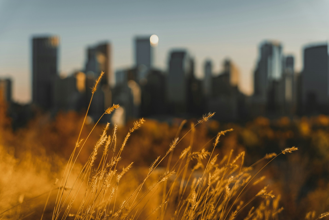 Preparing Your Apartment for Colder Weather: Fall Maintenance Guide