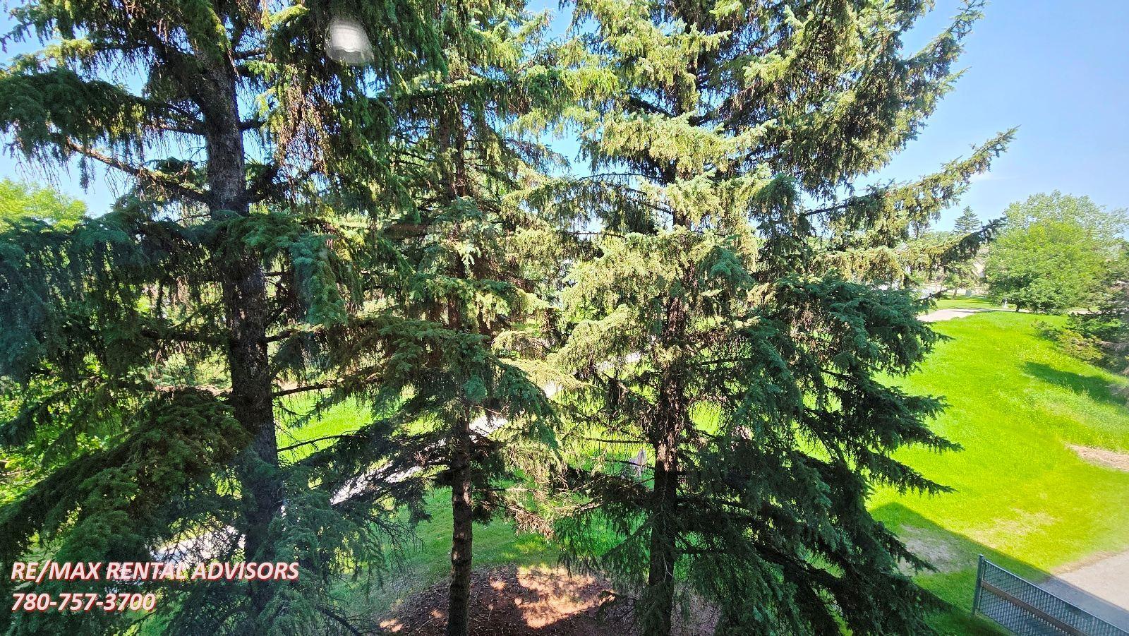  #315 15503 106 Street Northwest - Photo 14
