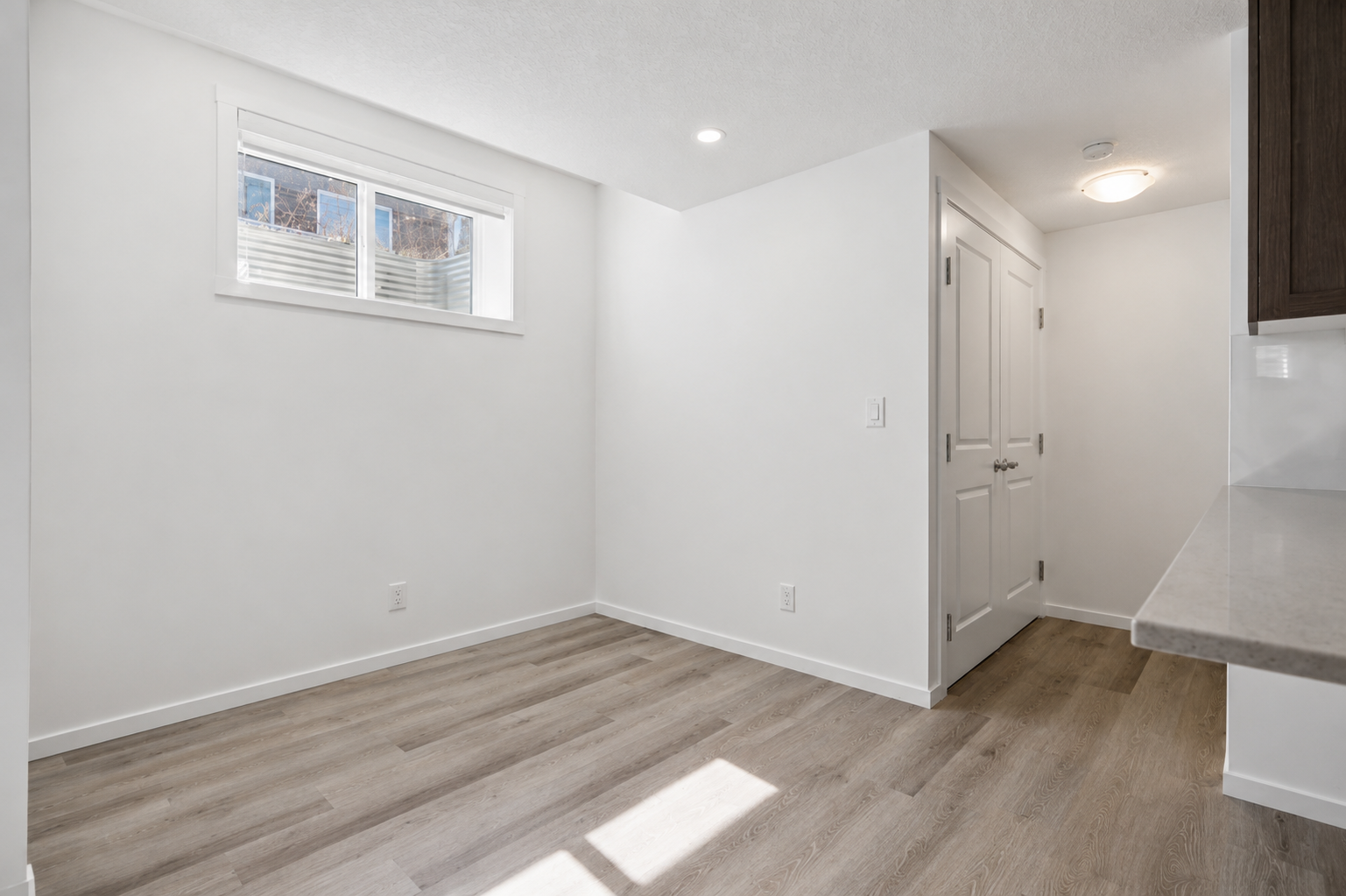 25 Yorkstone Basement - Photo 8