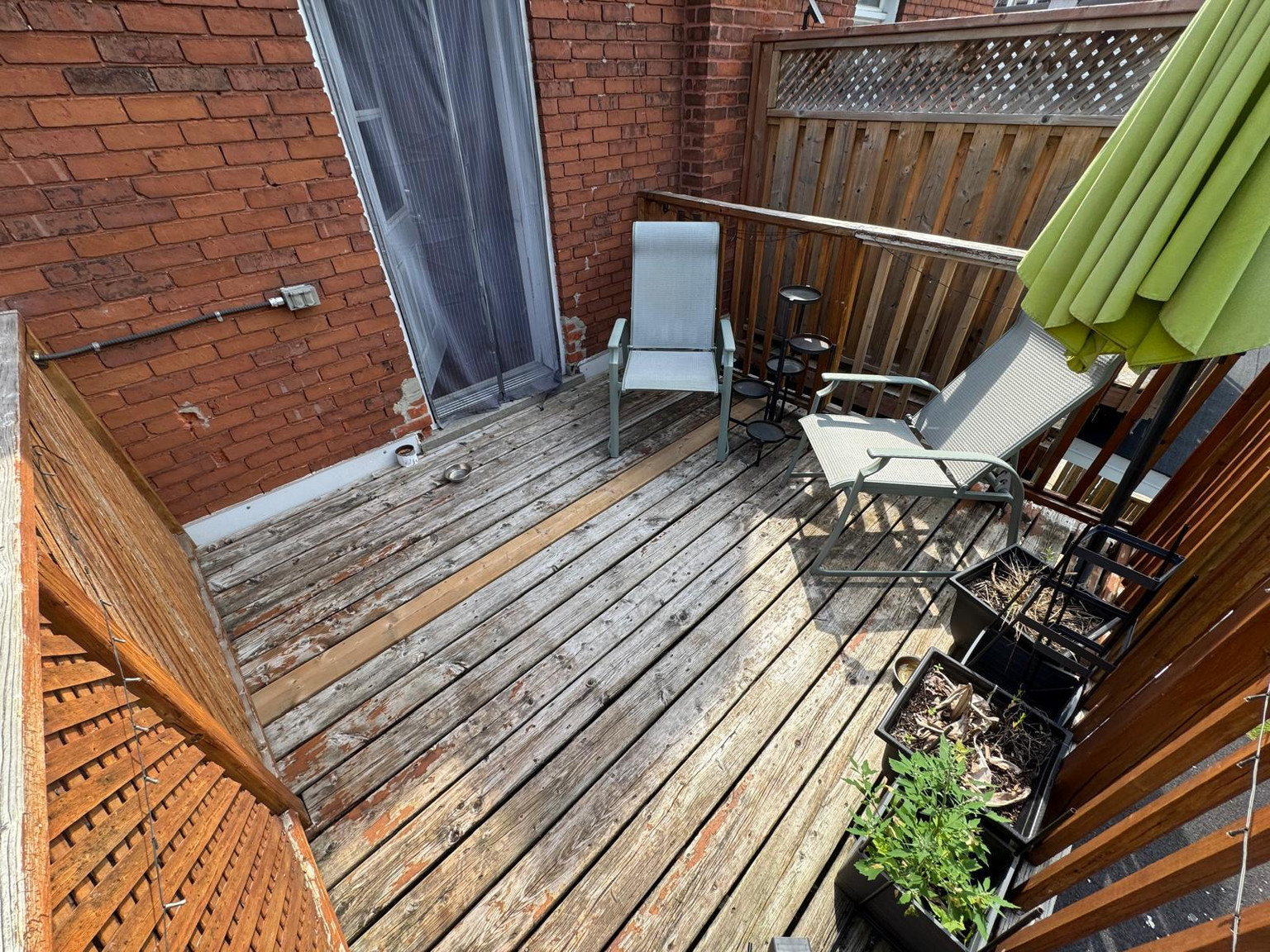 230 Percy Street - 2 Bedroom - Move-In Ready! - Photo 18