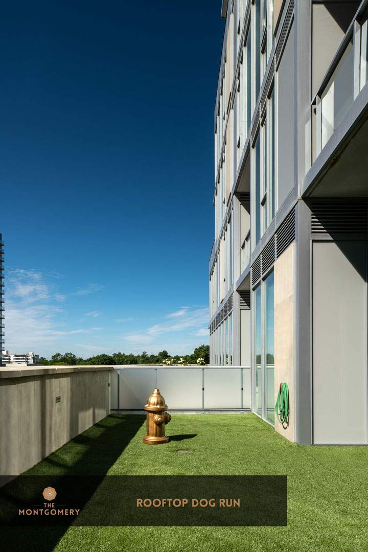 The Montgomery - Photo 11