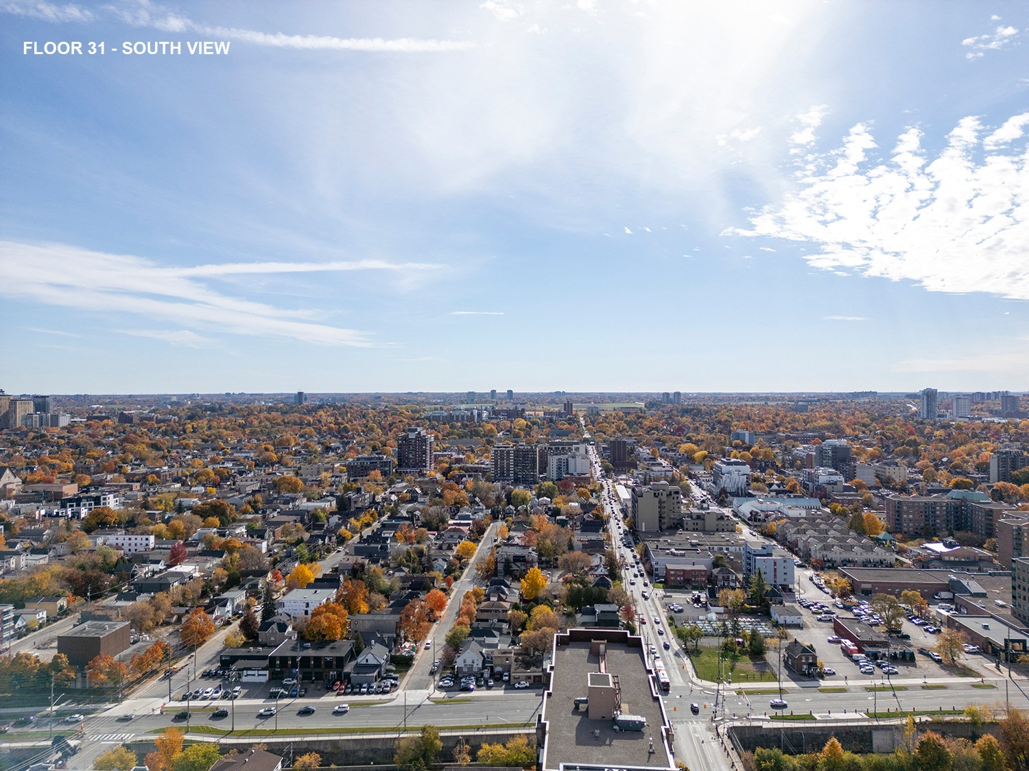 PARKDALE COLLECTIVE - Photo 36