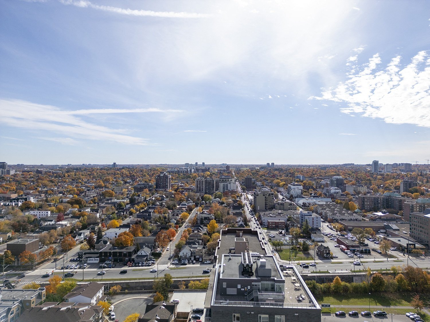 PARKDALE COLLECTIVE - Photo 41