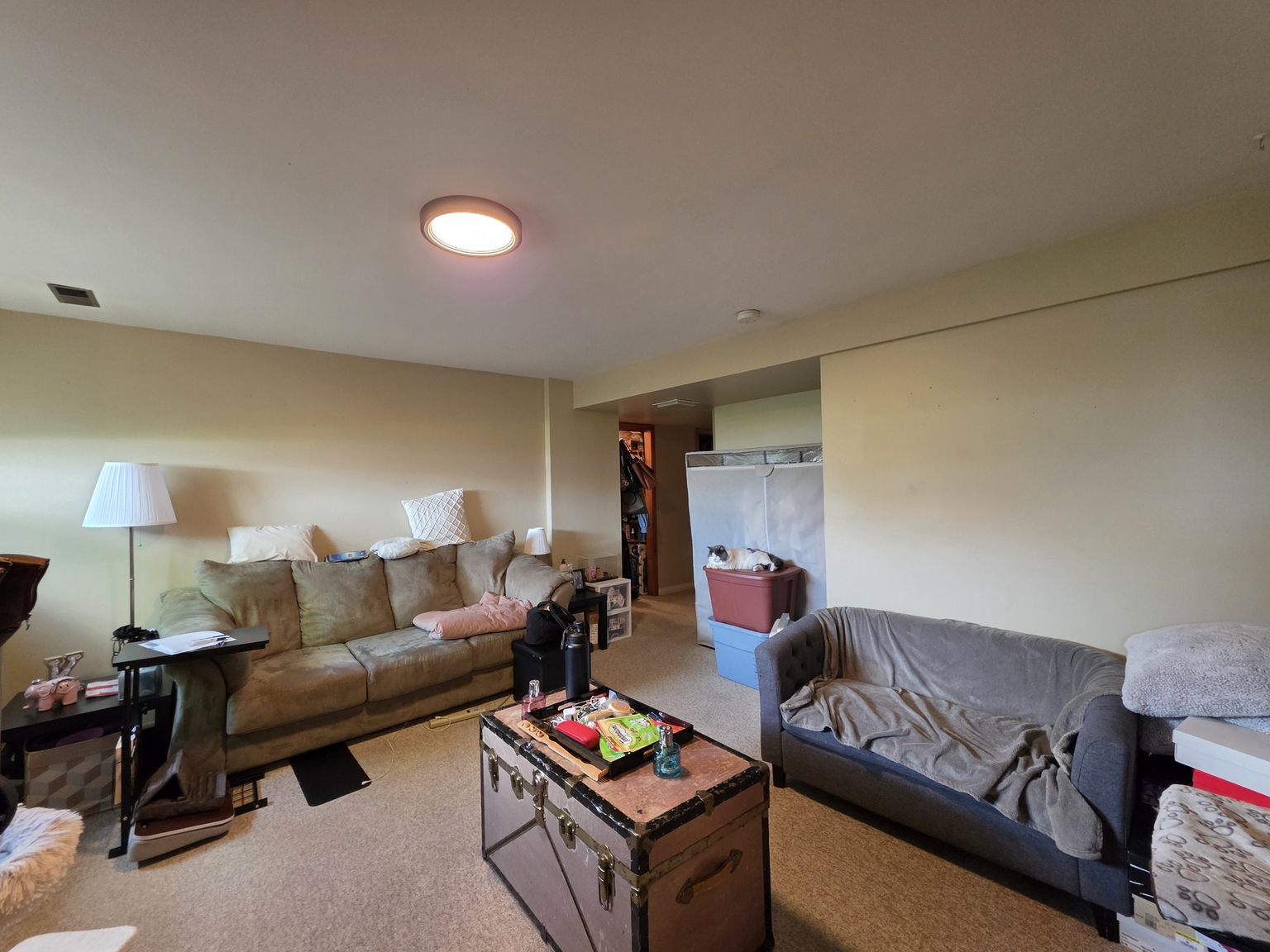 1704 48 Avenue SW, Calgary - Lower - Photo 6