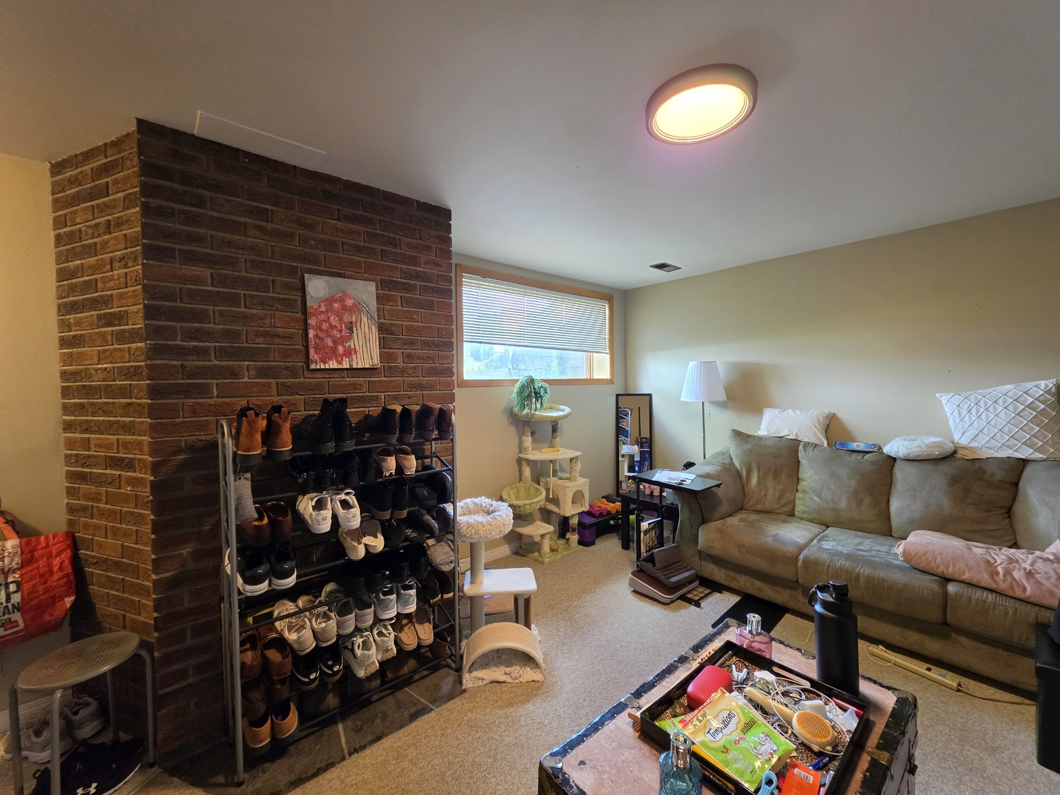 1704 48 Avenue SW, Calgary - Lower - Photo 8