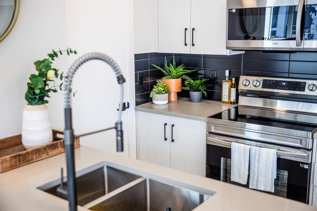 Sage Pointe Townhomes - Photo 4