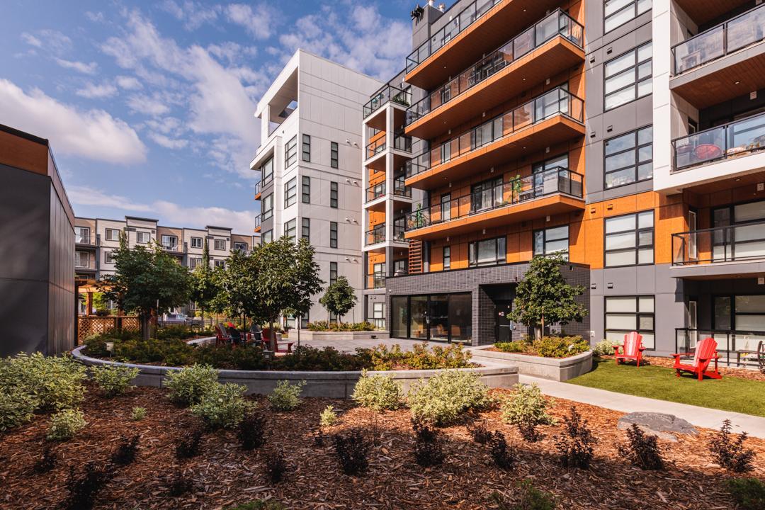 Dauk Commons at Stadium Yards  - Photo 23