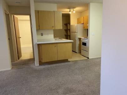 RP169 | 1 Month Free + Rent-Free Early Move-In – 1 Bedroom Apartment | Trails Edge - Photo 7