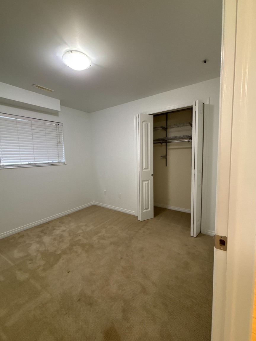 Modern 2 Bedroom, 1 Bathroom Basement Suite in NW Edmonton | SF209 - Photo 46