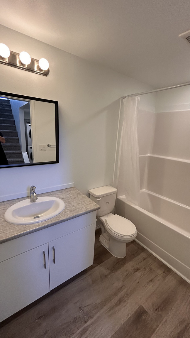 SF217 | 1 Month Free – 2 Bedroom Basement Suite in Newton  - Photo 14