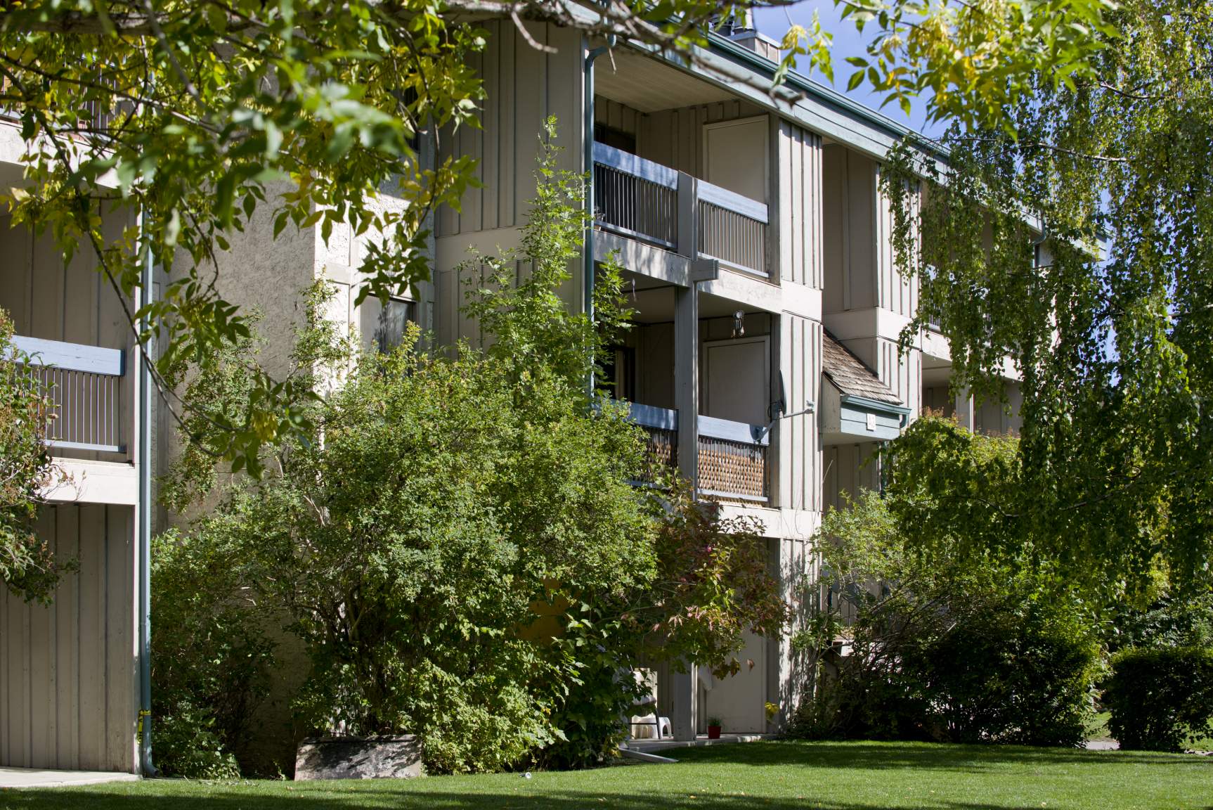 Cedars Of Calgary - Photo 2