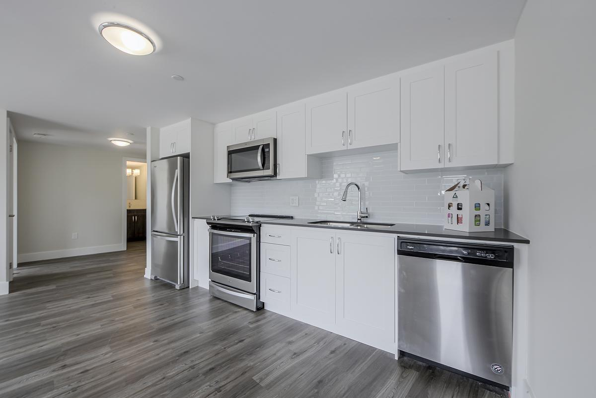 7 Elizabeth Street North - Photo 10