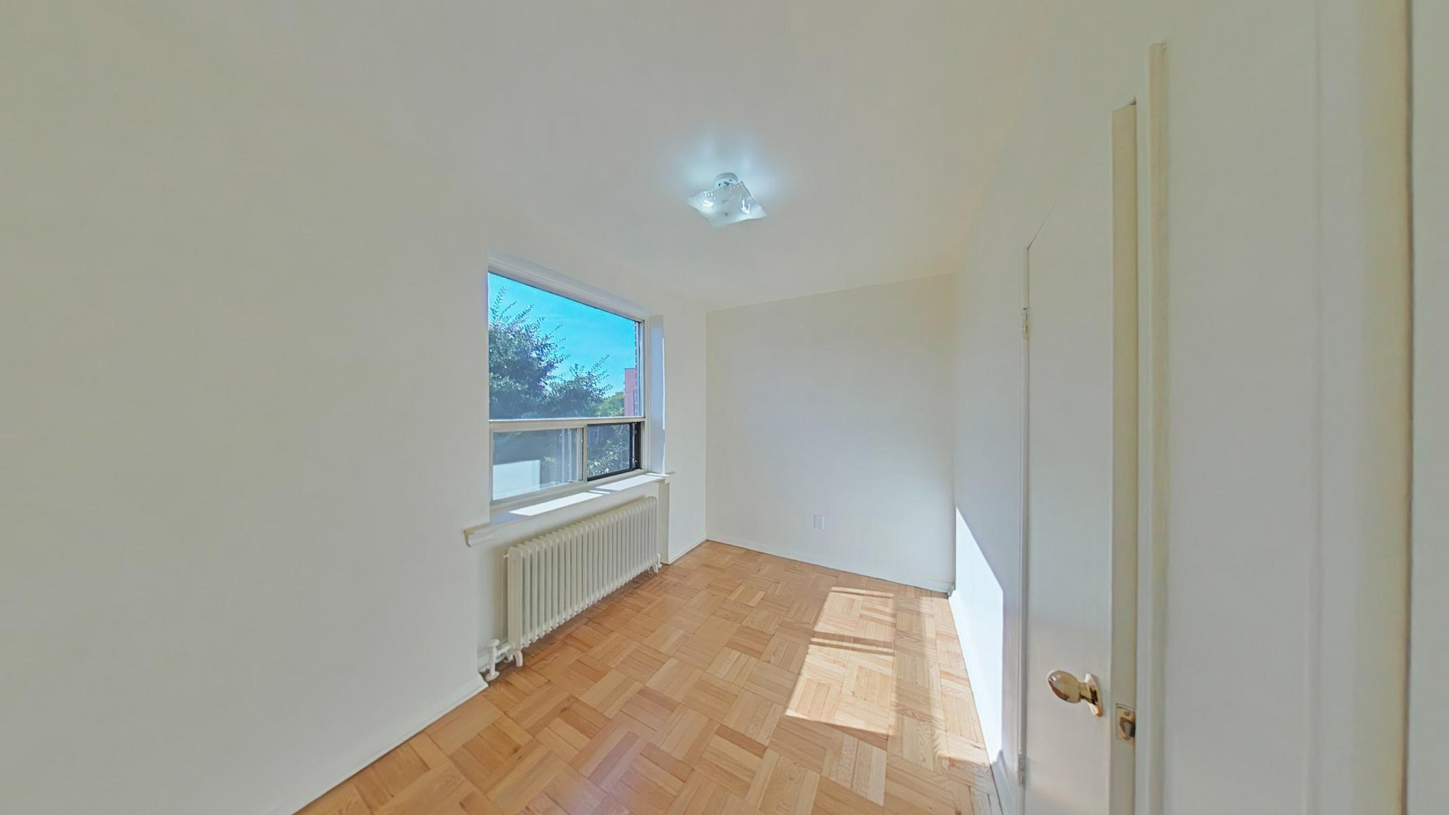 1637 Victoria Park Avenue - Photo 9