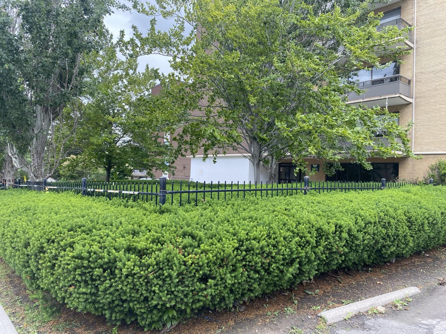 42 Gulliver Road - Photo 13
