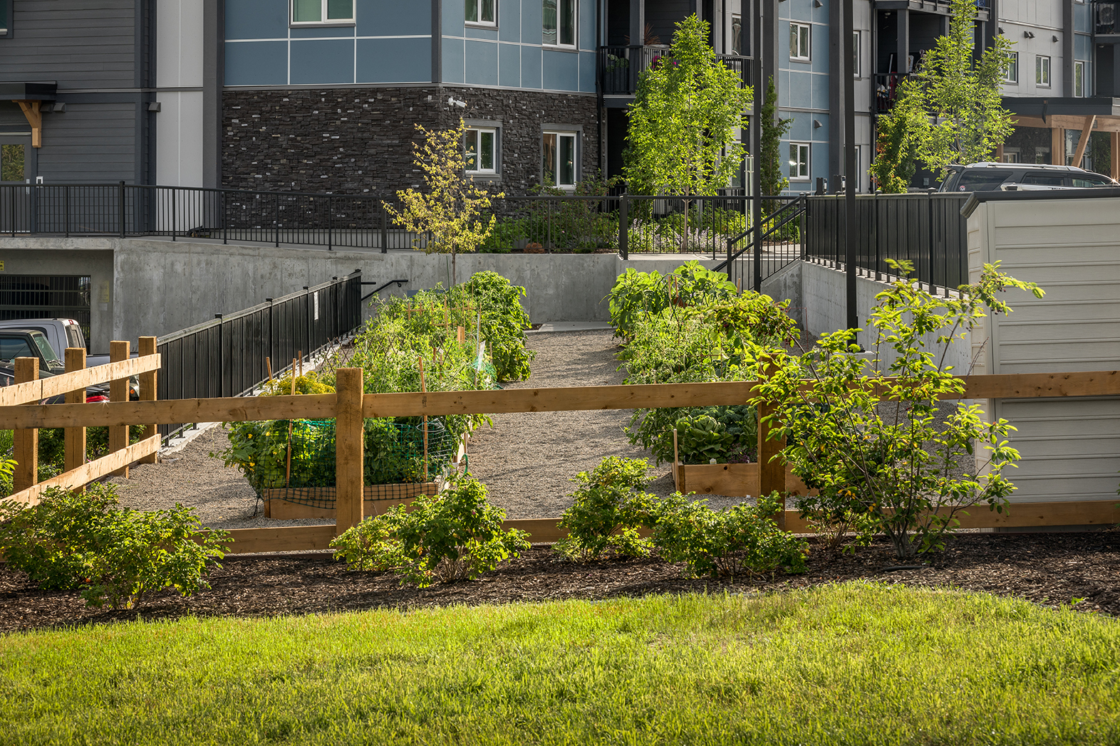 Carrington View Apartments - Photo 17