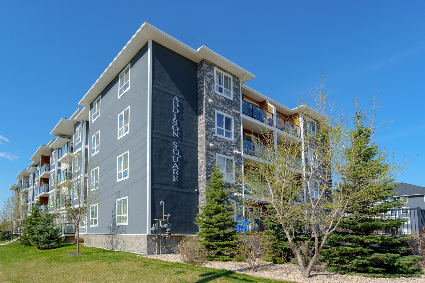 Addison Square Apartments - Photo 5