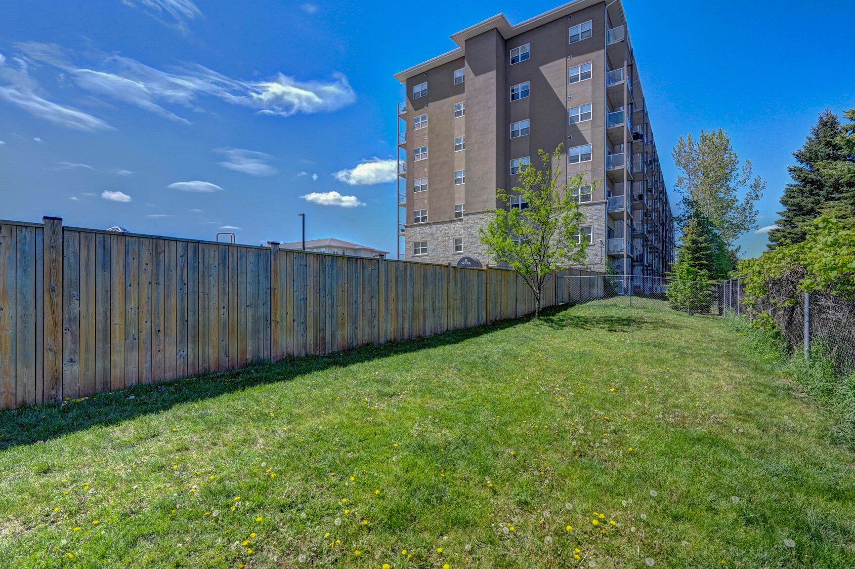 Harris Place Apartments - Photo 37