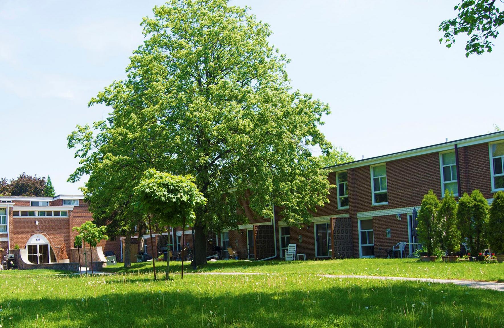 Forestview Townhomes: 2020-2077 Barsuda Drive, 2025 Ambridge Court - Photo 7