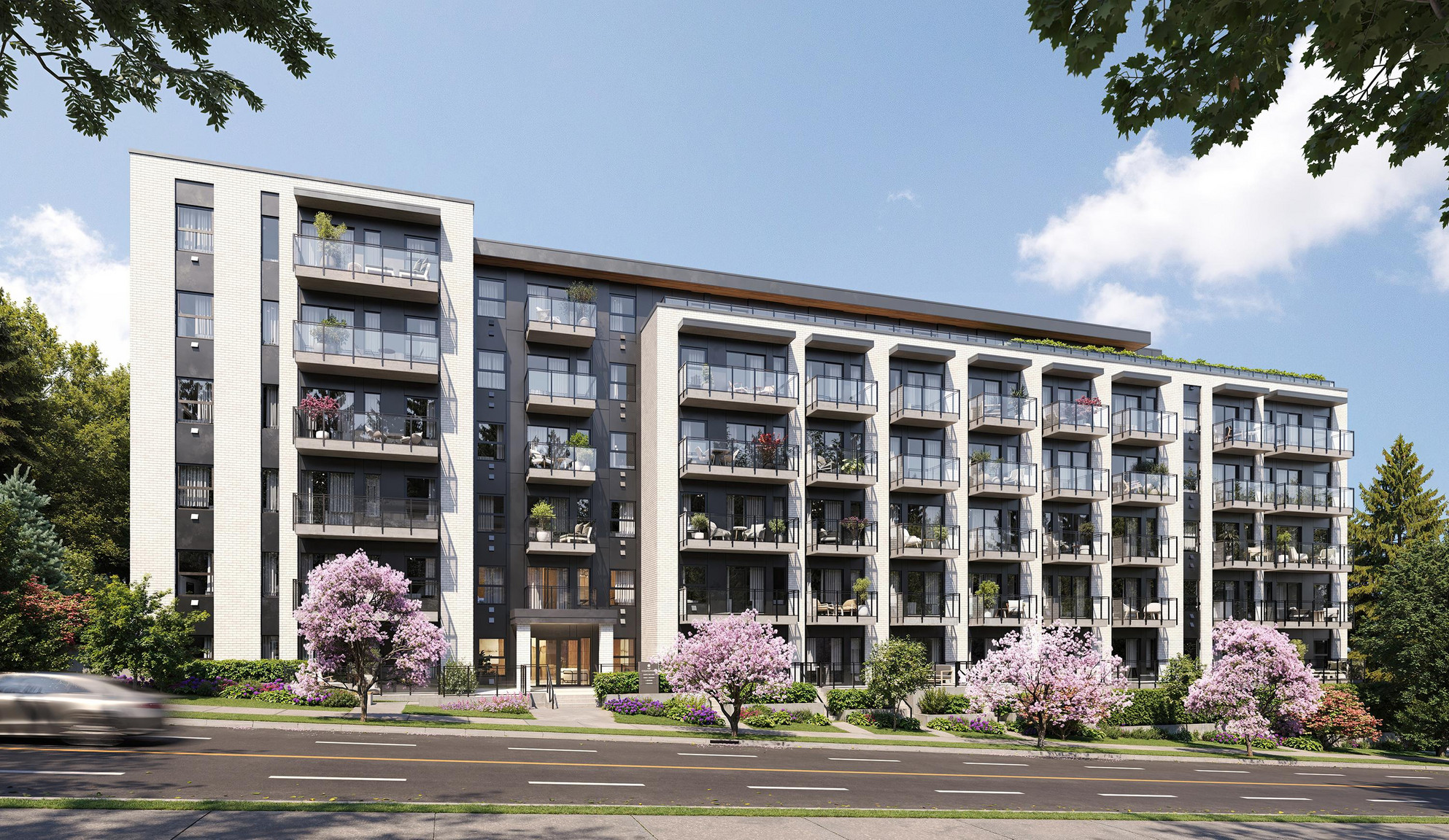 The Collingwood