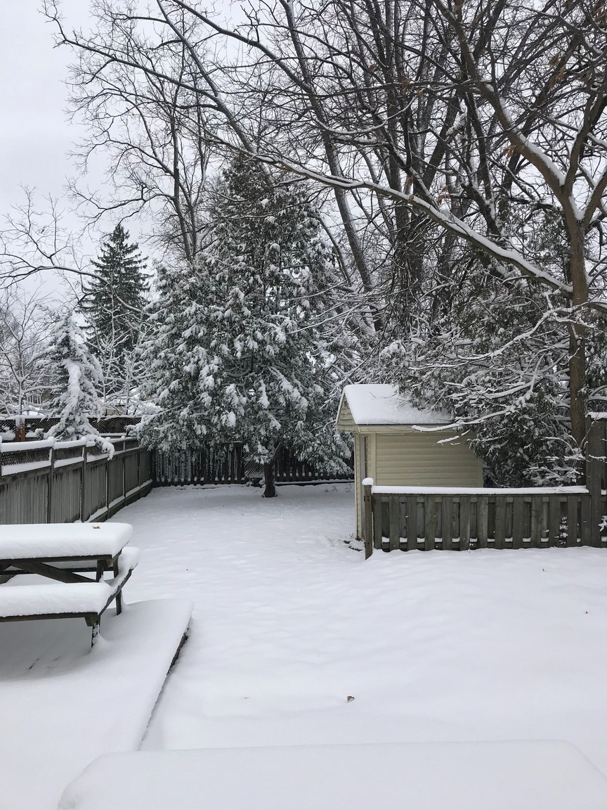 15 Euclid Avenue - Photo 31
