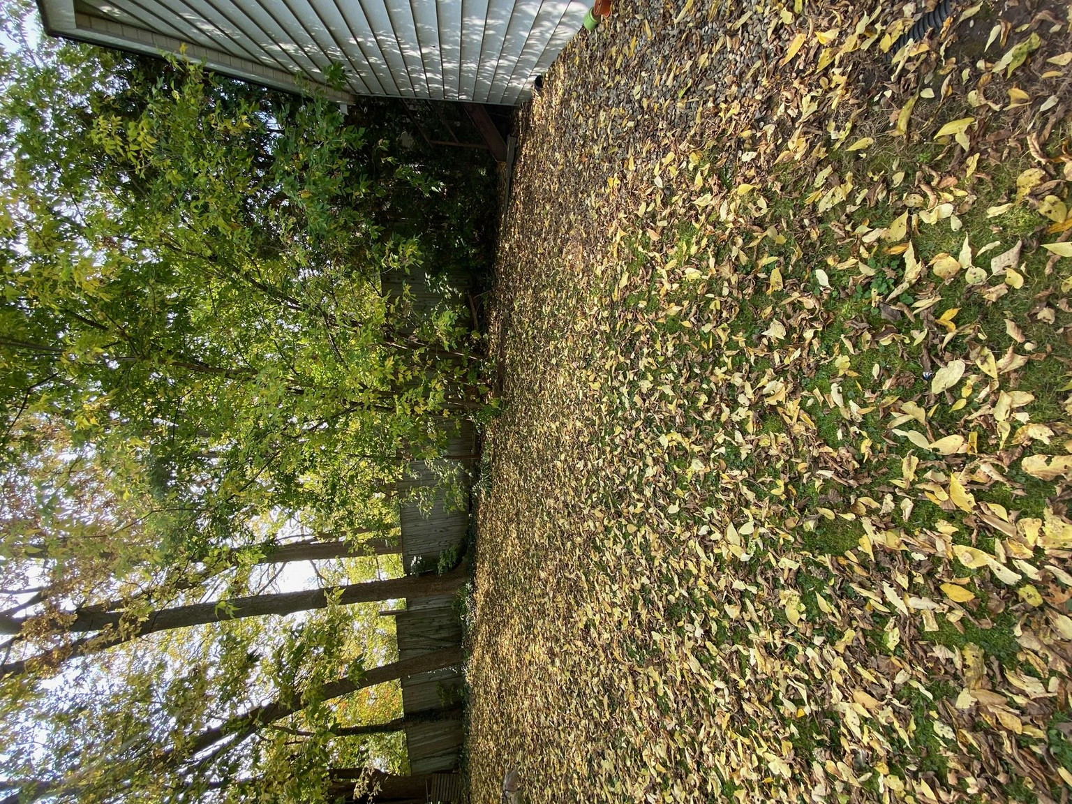 26 Stanley Street - Photo 4