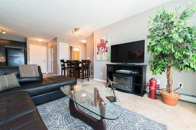 Lake Ridge Apartments - Photo 27