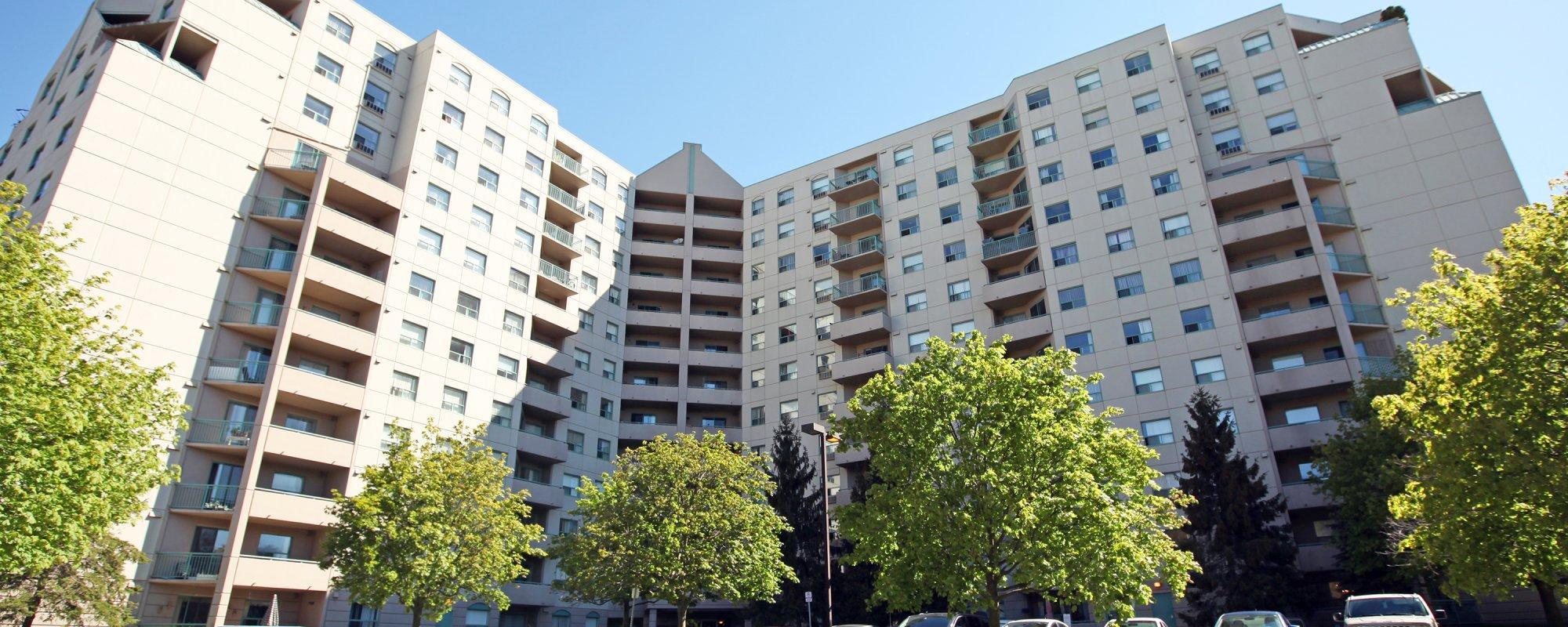 Pineridge Place - Photo 52
