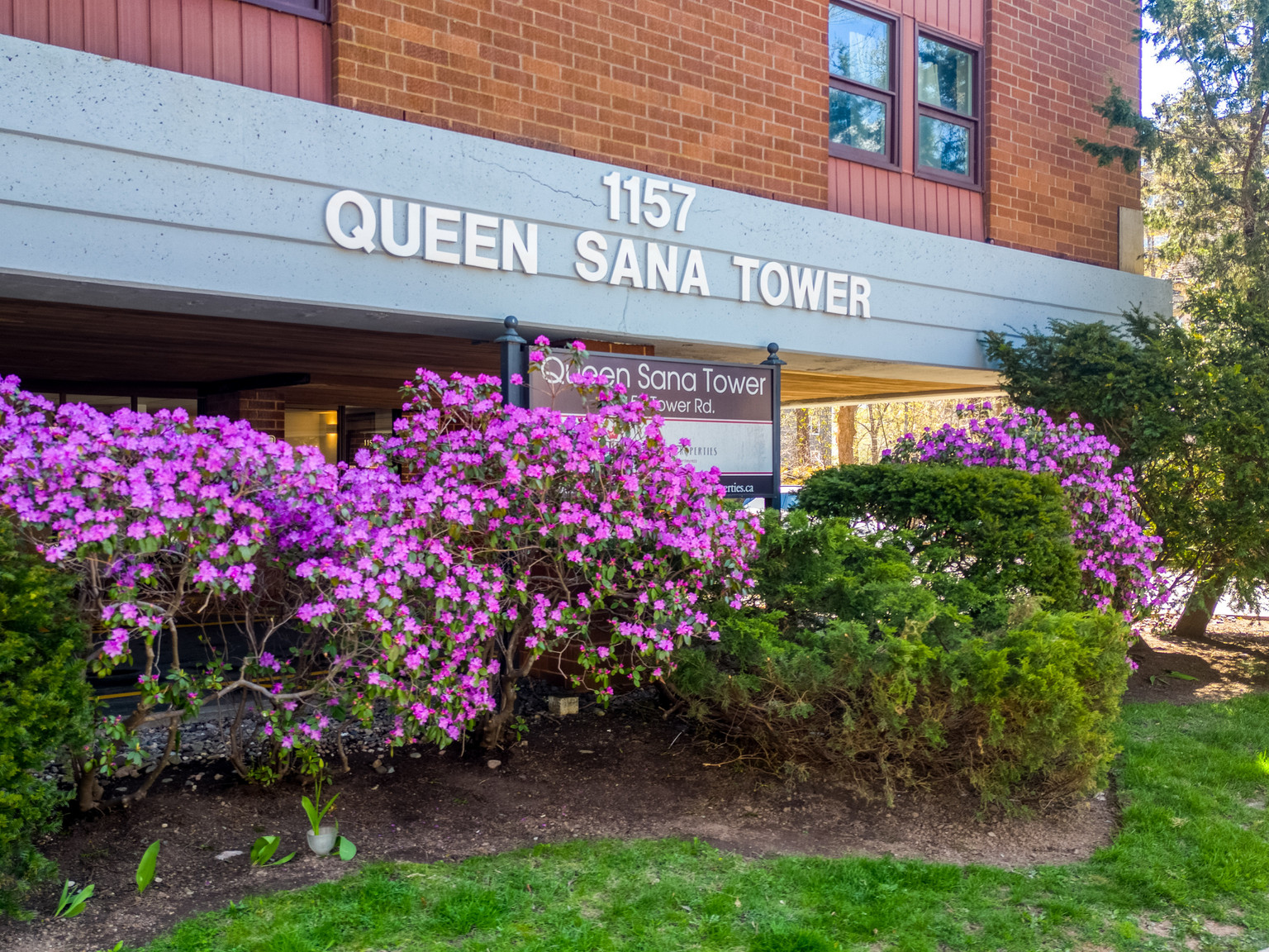 Queen Sana Tower