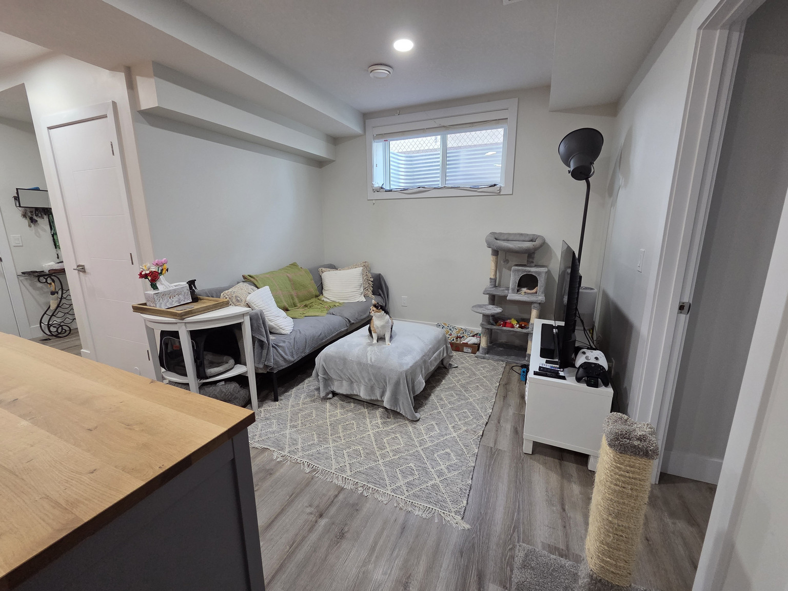 11231 102 Street, Down , Edmonton, Alberta, Canada, T5G 2E2 - Photo 7