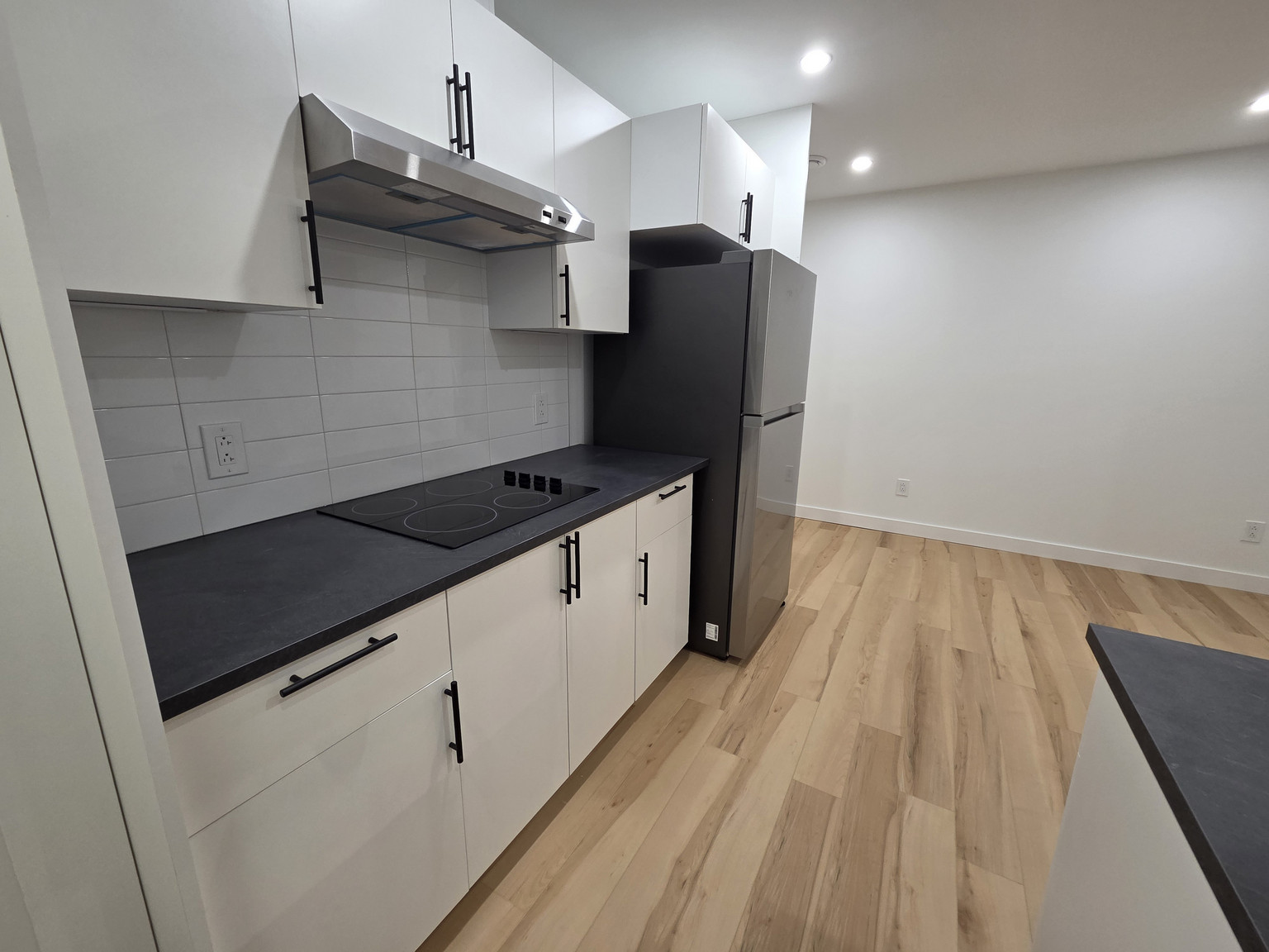 439 Aster Drive BSMT Suite - Photo 5