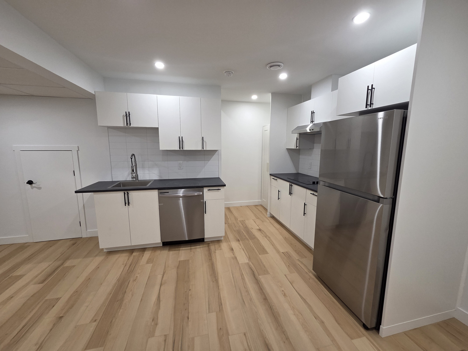439 Aster Drive BSMT Suite - Photo 7