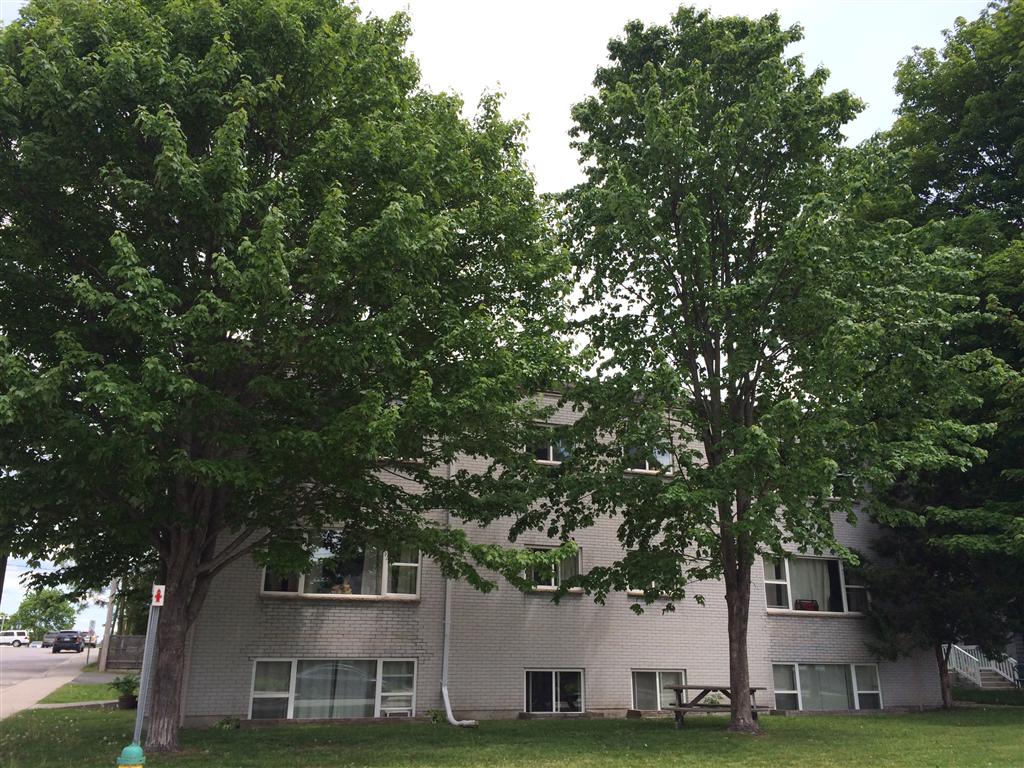 Apartments Gravenhurst Apartments Tribe Rentals Tribe Rentals