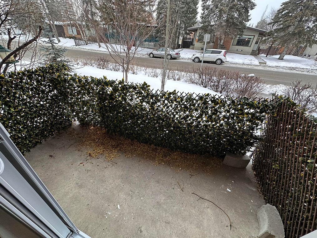 2929 Unwin - Photo 10