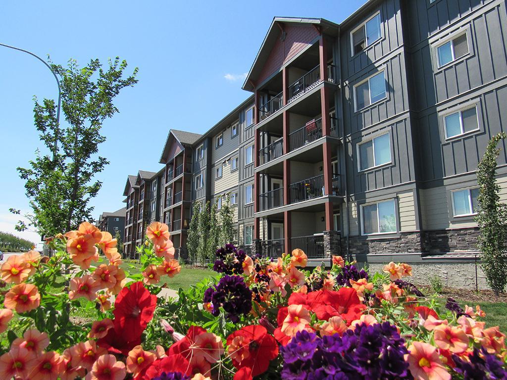 Brintnell Landing Apartments - Photo 15