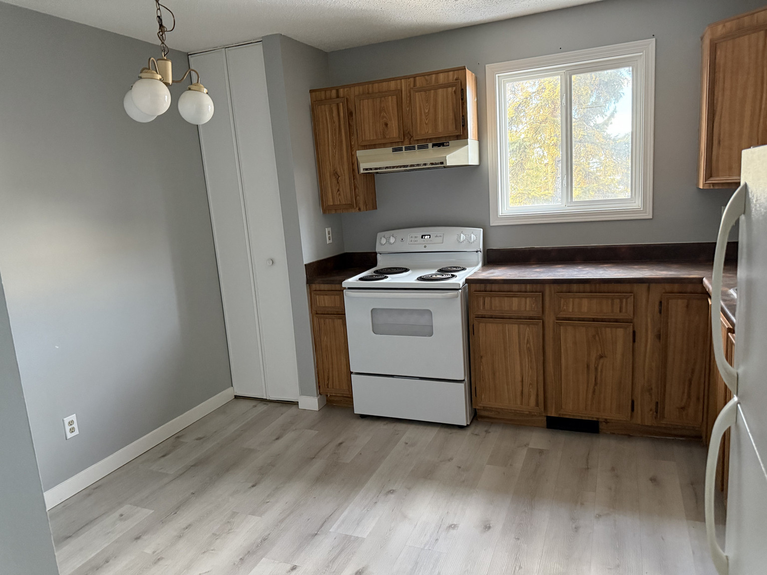 Meadow Mews Apartments - Photo 4