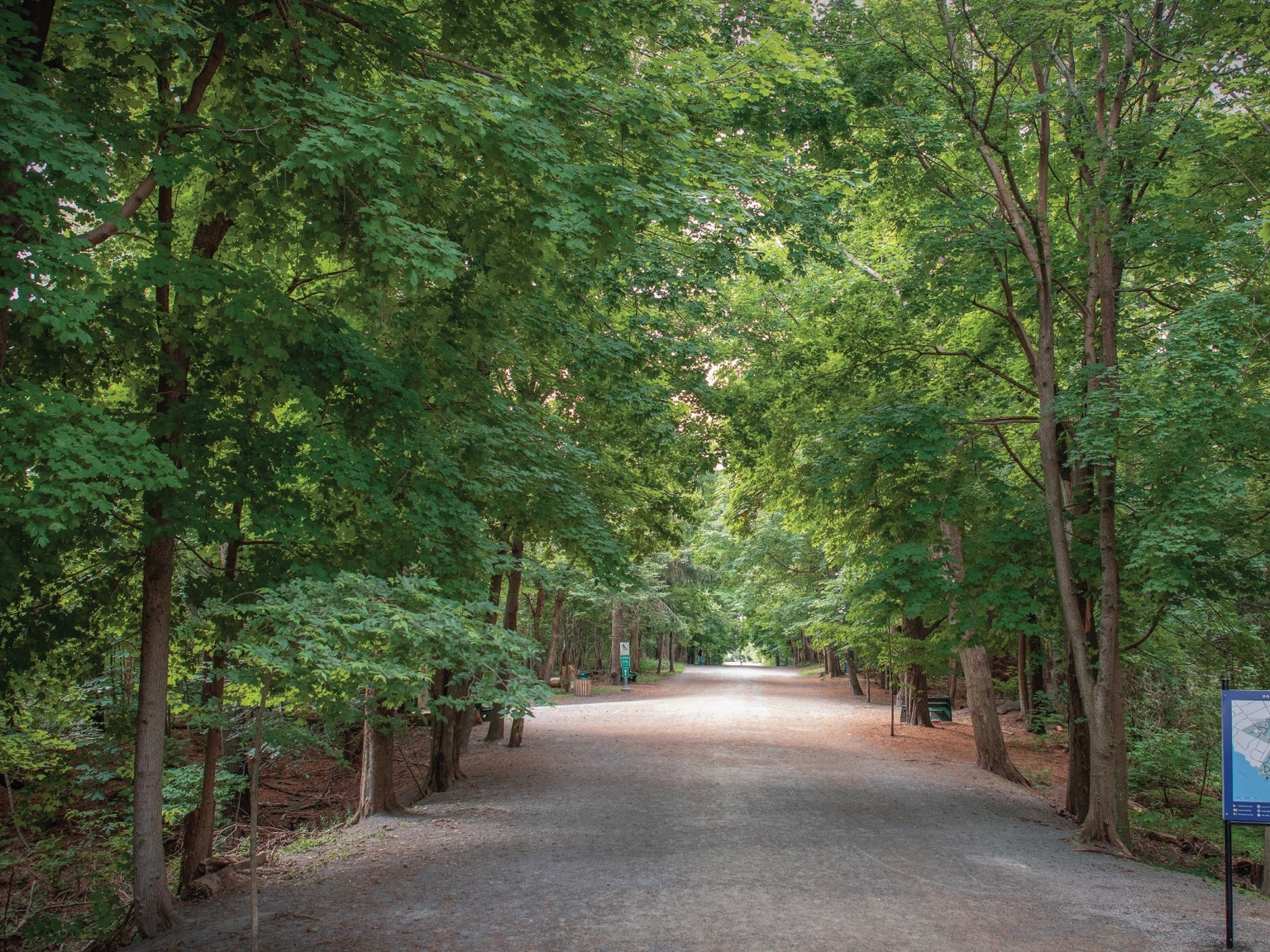 Ogilvie on the Park - Photo 11
