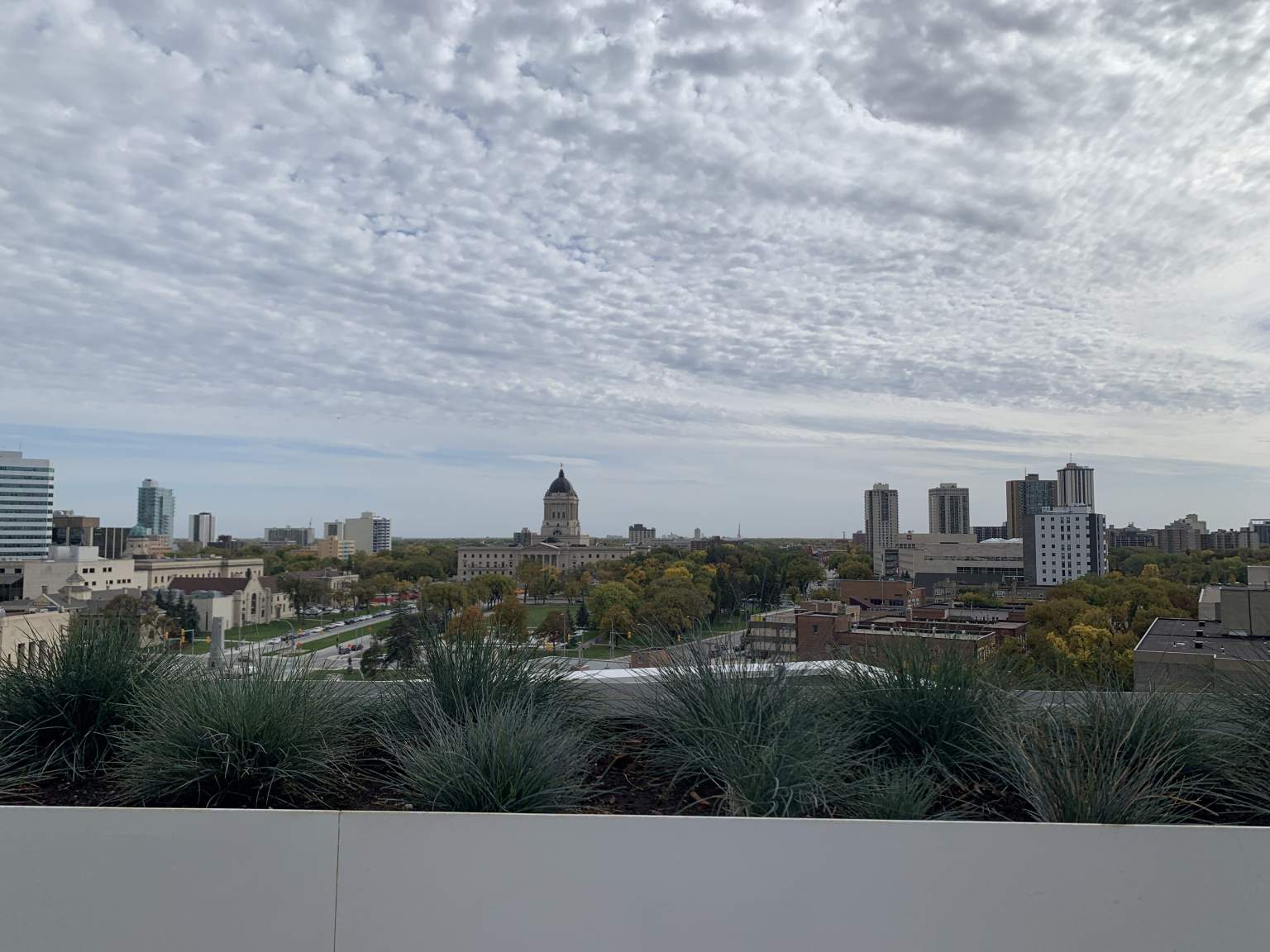 Muse Flats - Photo 23