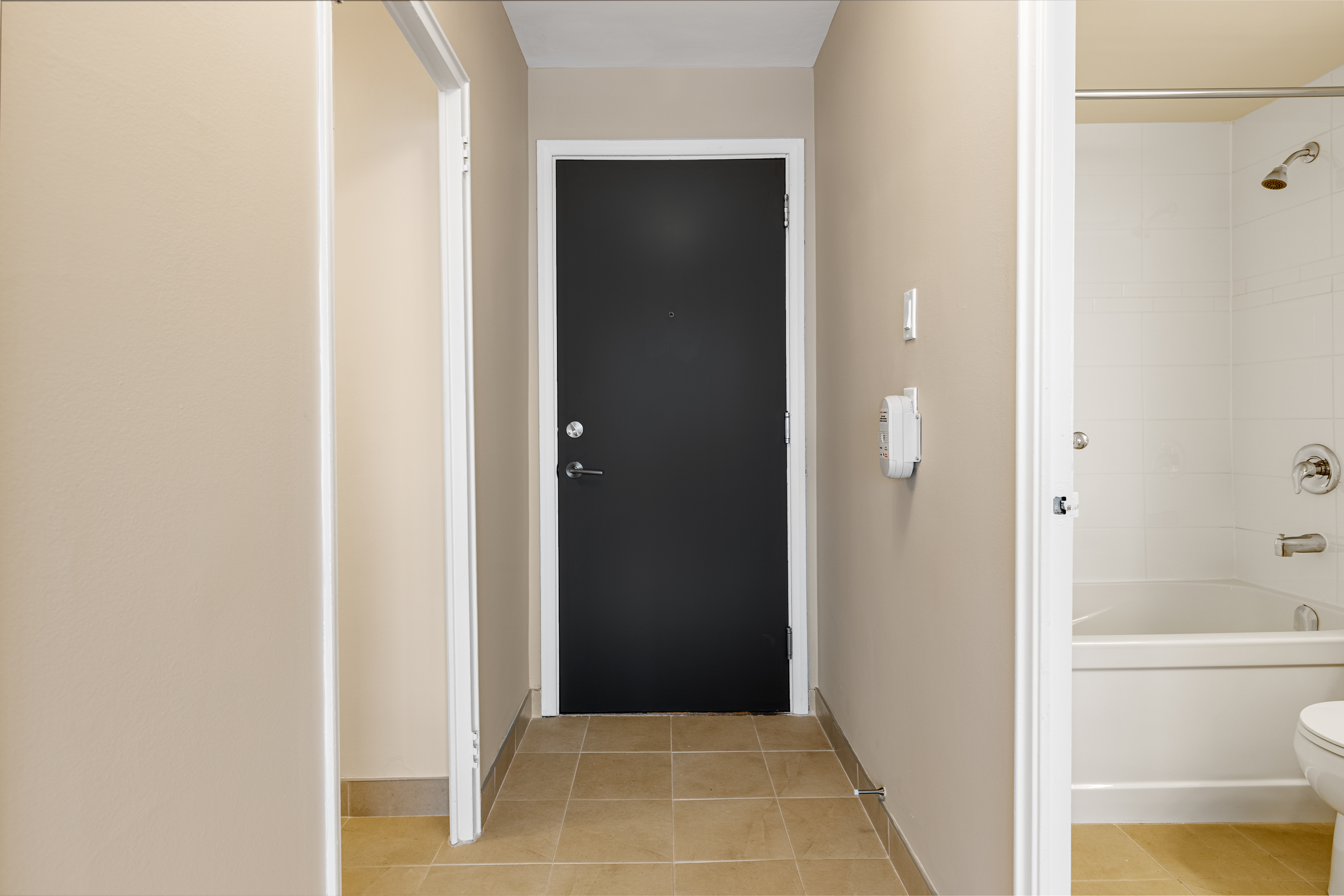 111 Wurtemburg Street, Ottawa, ON K1N 8R4 — photo 3
