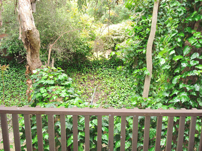 431 Dinah Court