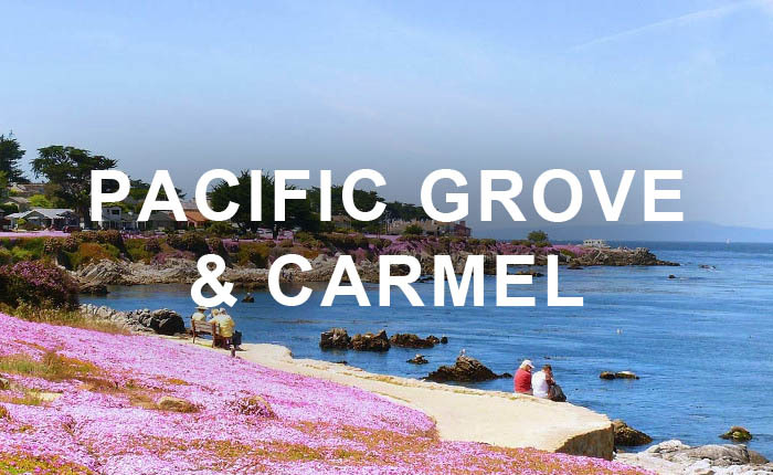 zTEST 3307 - 3317 Alma Street