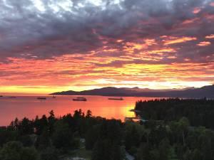 Comox - Photo 21