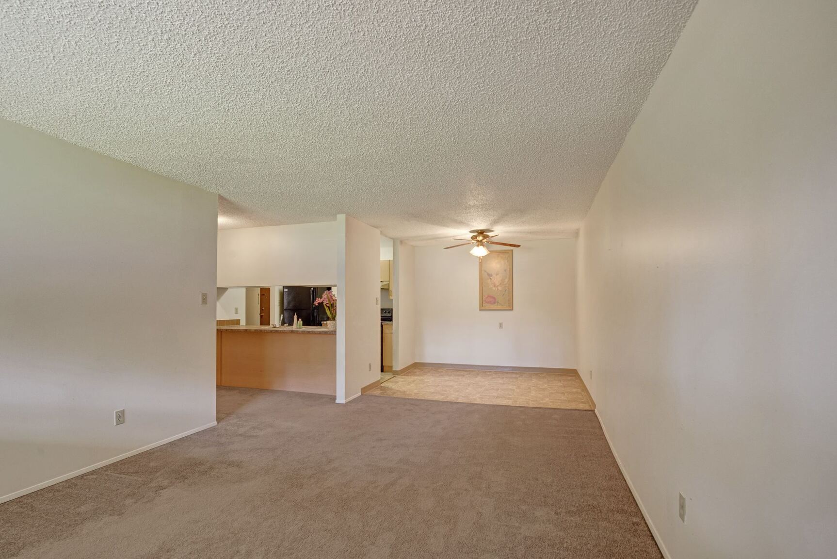Stirling Place - Photo 8