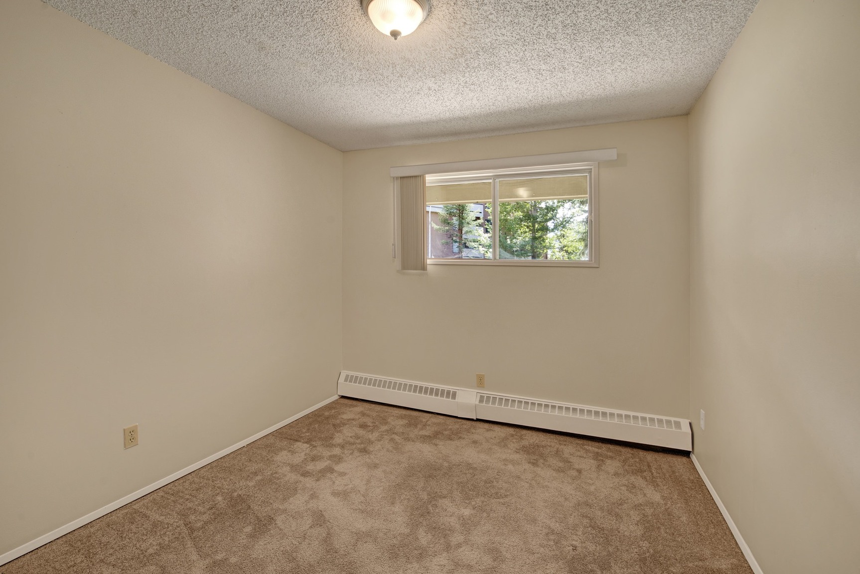 Stirling Place - Photo 11