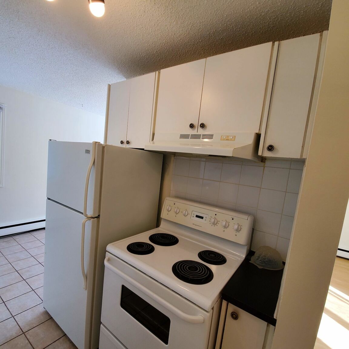 2 Bedroom Apartment : Unit #206 - Photo 12