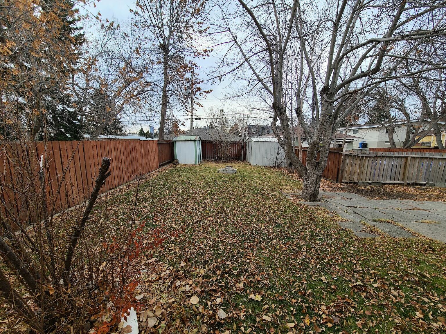 Spacious 2-bed/1 bath basement unit w/separate entrance & laundry in Cambrian - Photo 19