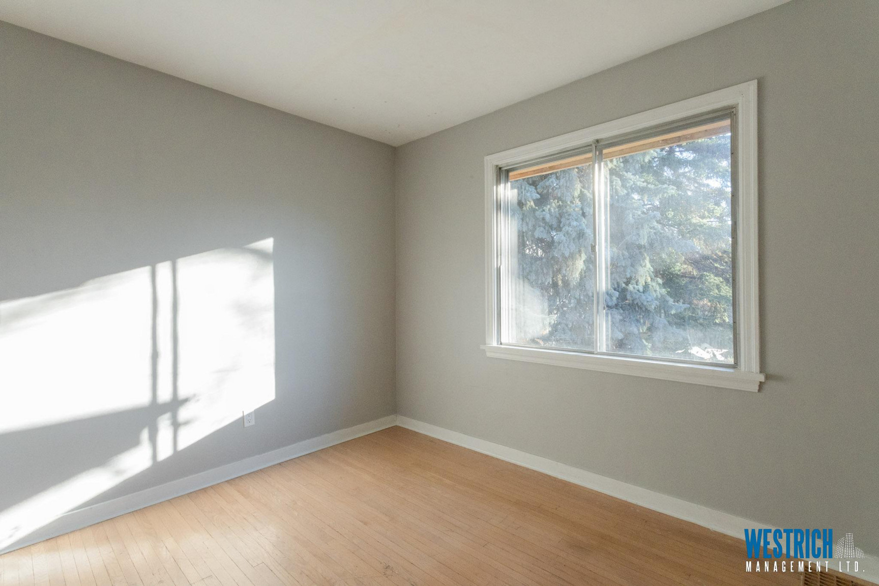 8715 117 Street Northwest - Photo 13